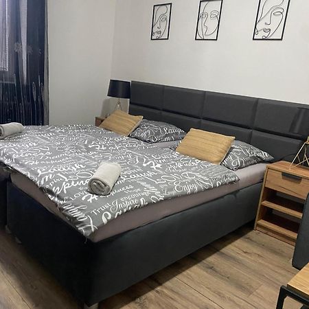 Cerna Ruze - Apartman 4 Plzeň Esterno foto
