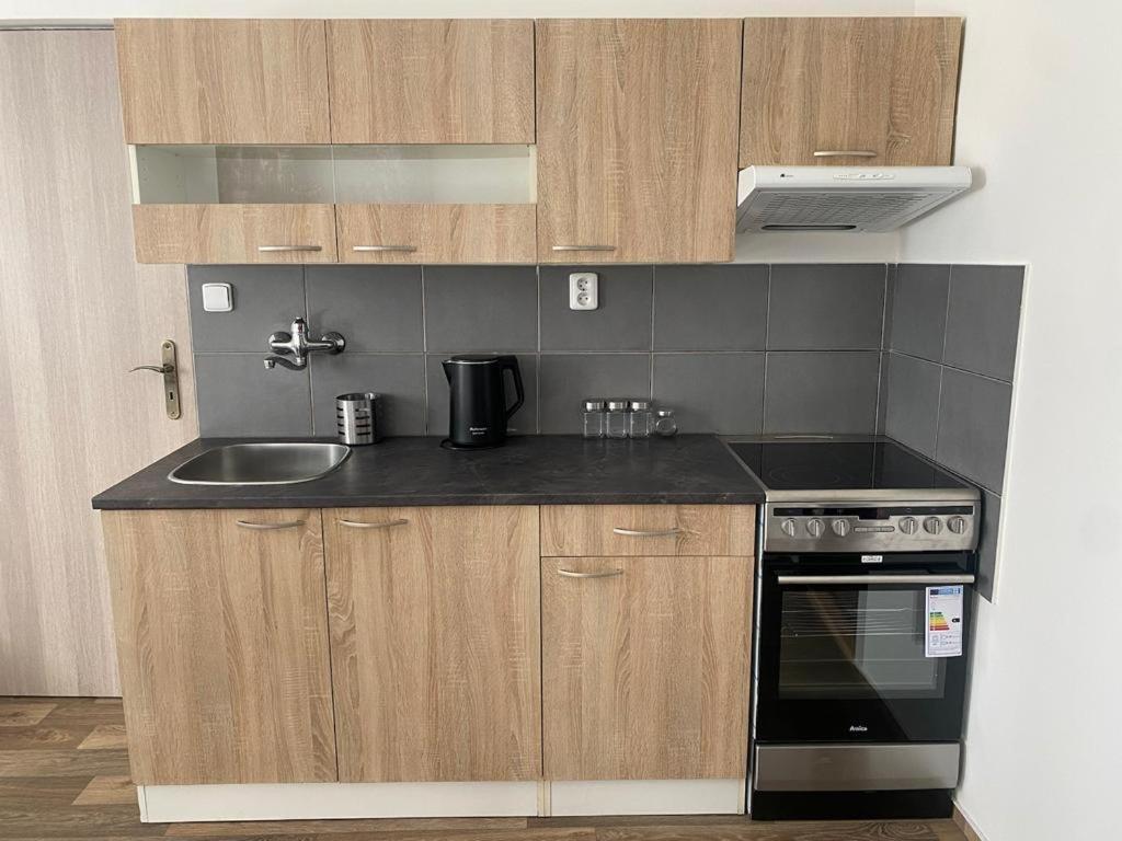 Cerna Ruze - Apartman 4 Plzeň Esterno foto